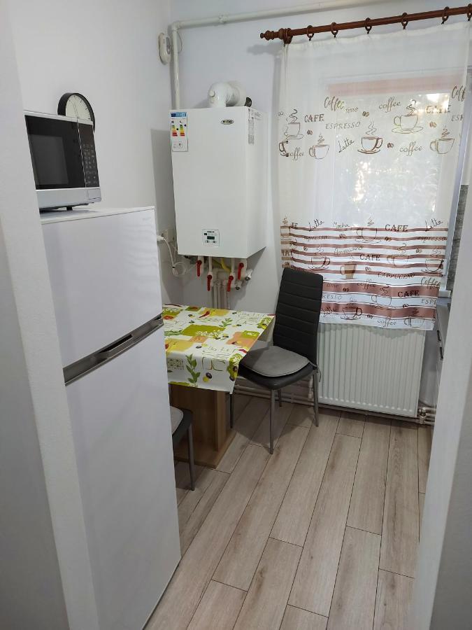 Studio Ella Hunedoara Extérieur photo